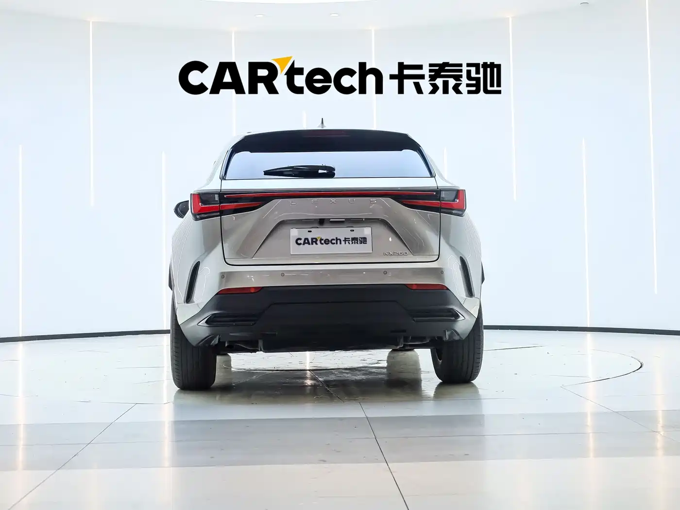 Lexus NX 2023 2022 260 FWD Joy Creation Edition