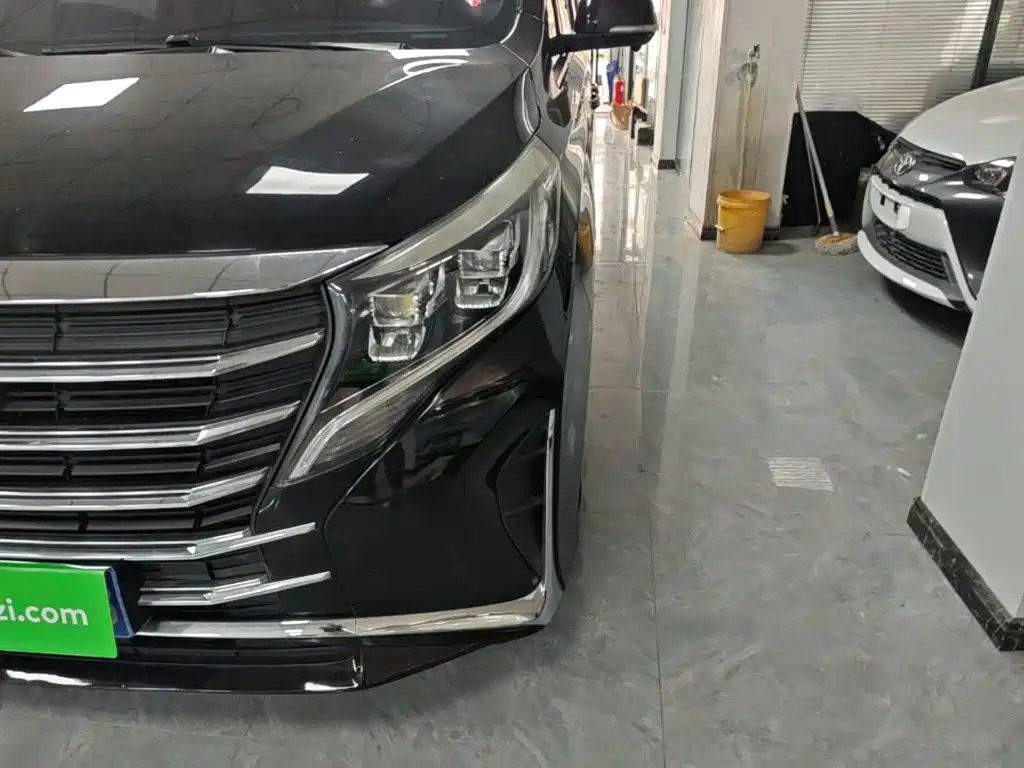 Фото 24 - GAC Trumpchi M8