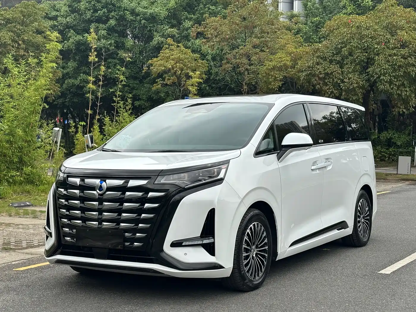 Denza D9 2022 DM-i 970 All-Wheel Drive Honor Edition