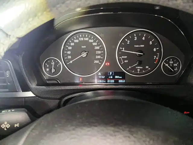 BMW 3 Series 2016 320Li Progressive — фото 4