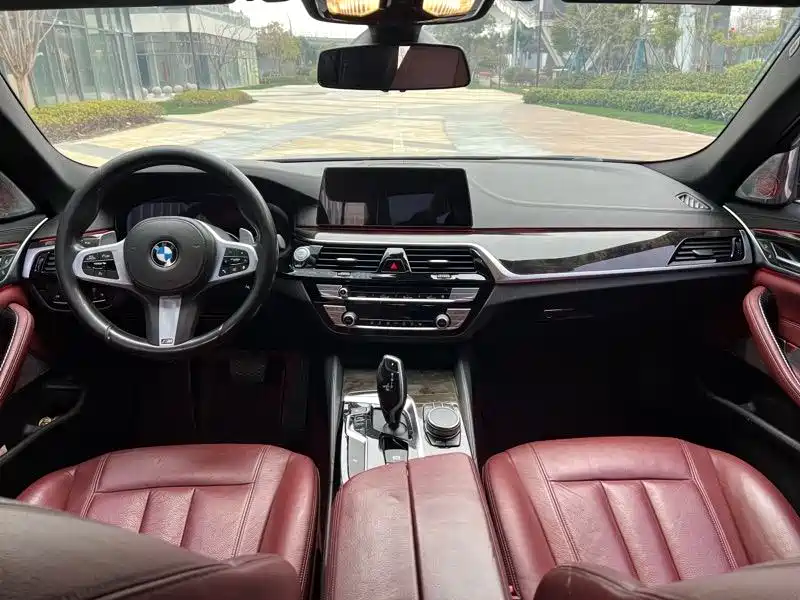 BMW 5 Series 2020 530Li Leading M Sport Package фото 6