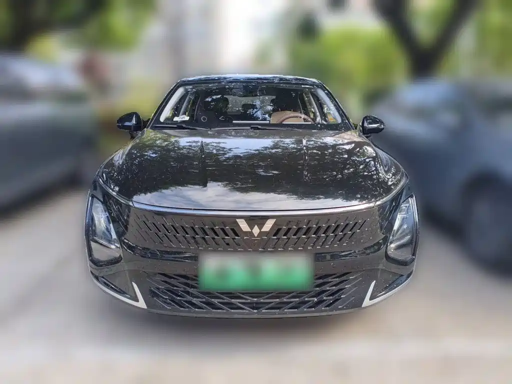 Wuling Motors Wuling Xingguang 2025 2025 70km Smart Standard