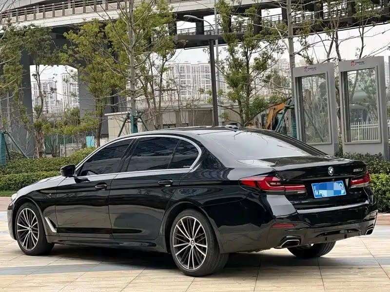 BMW 5 Series 2020 530Li Leading M Sport Package фото 10