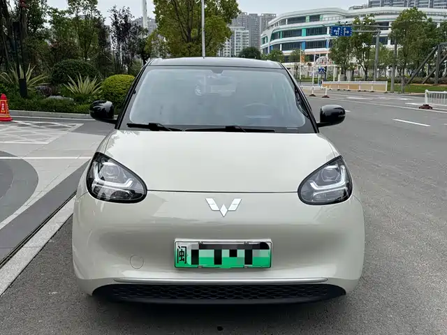 Wuling Motors Wuling Bingo 2023 Model 203km Lite Enjoyment Edition