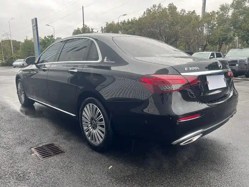 Mercedes-Benz E-Class 2023 E 300 L Luxury фото 11