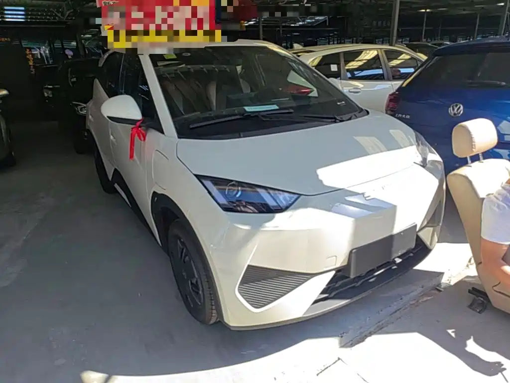 BYD Seagull 2026 2025 Smart Drive Edition 305km Vitality Version