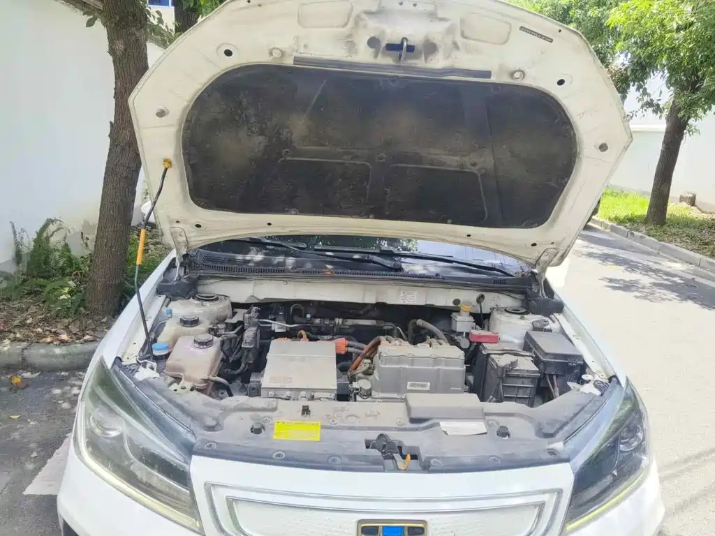 Geely Emgrand New Energy 2018 2018 EV450 Progressive