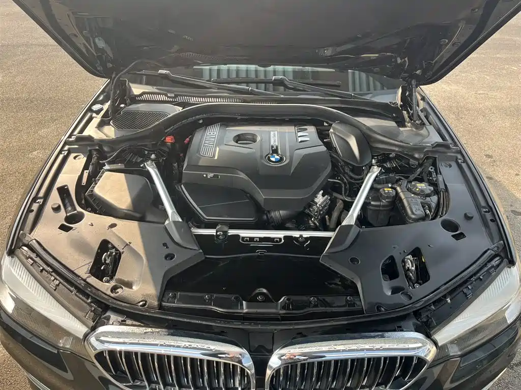 BMW 5 Series 2020 525Li Luxury Package фото 8