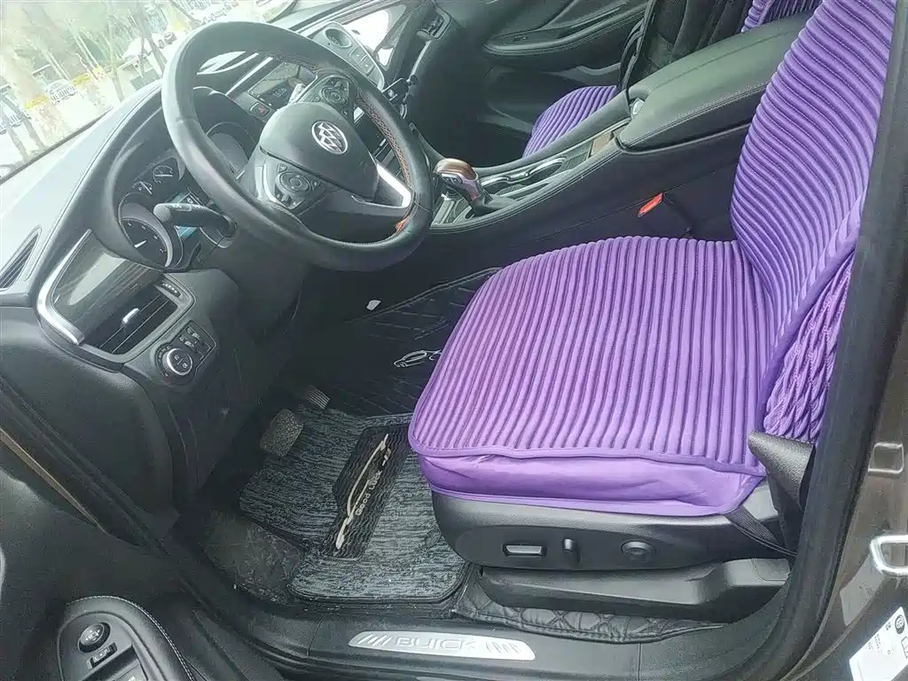 Buick Envision Plus 2019 20T 2WD Elite Type China V фото 15
