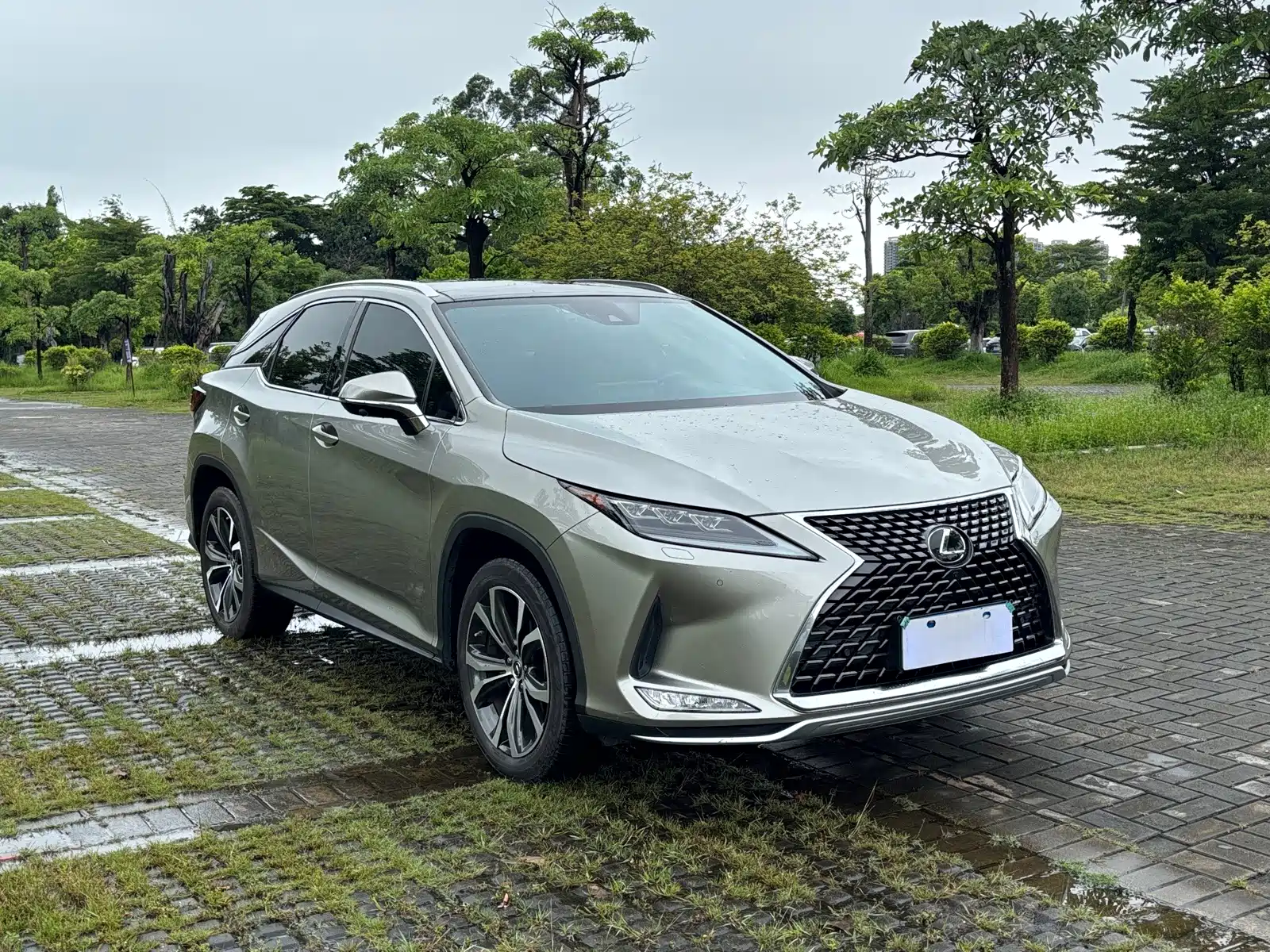 Фото 3 - Lexus RX