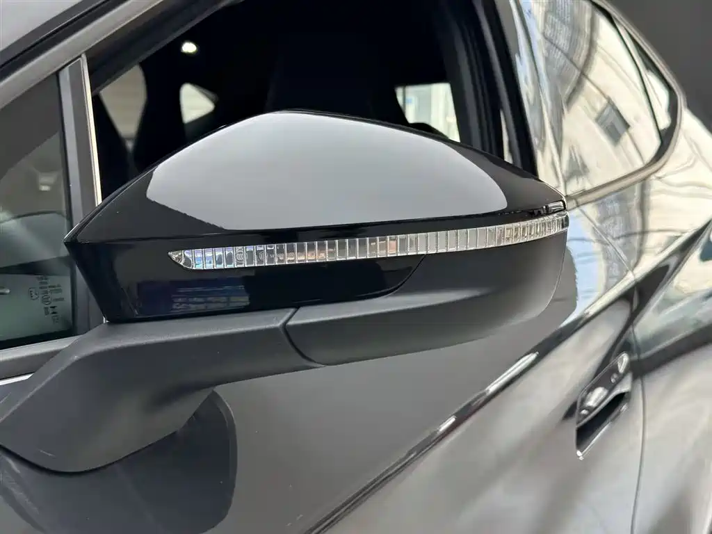 VOLKSWAGEN WITH THE CROWD 06