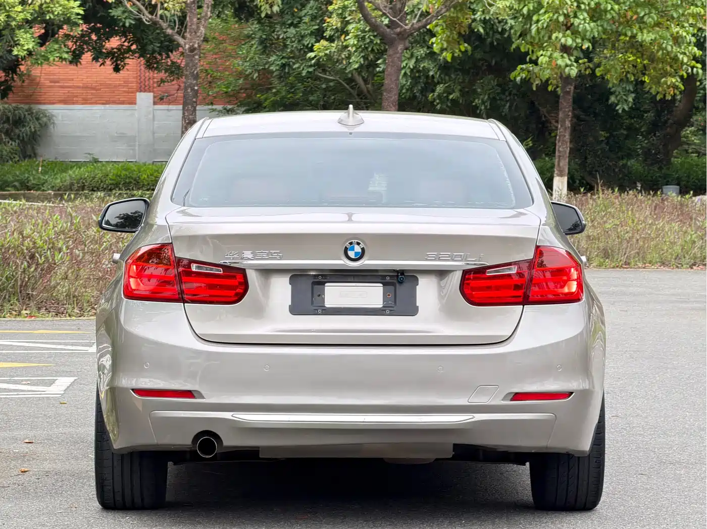 BMW 3 Series 2013 320Li Luxury Design Package фото 8