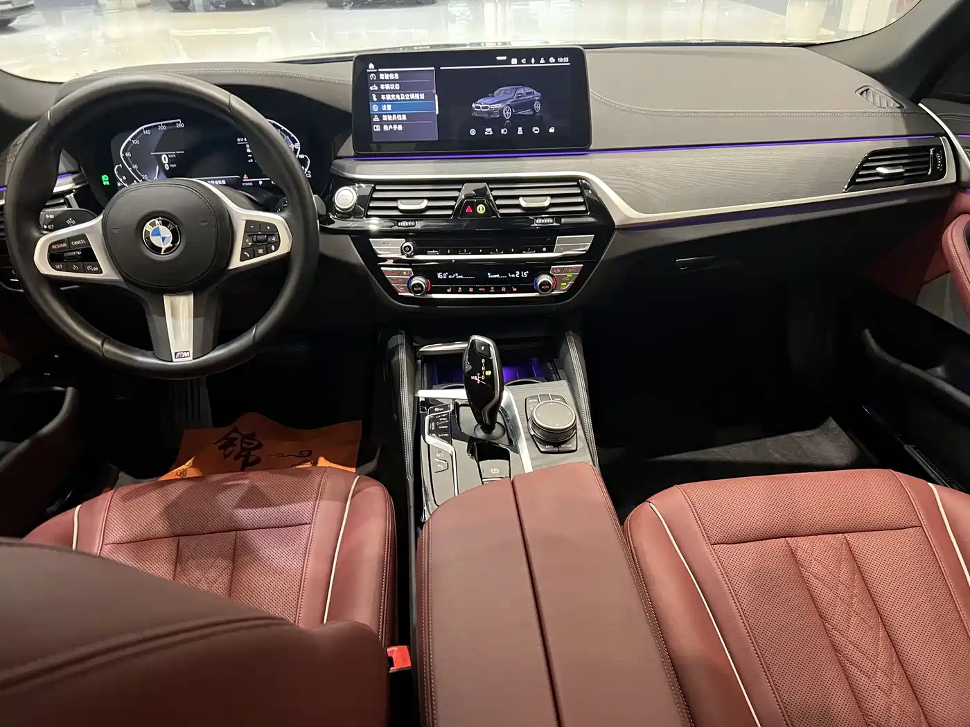 BMW 5 SERIES NEW ENERGY