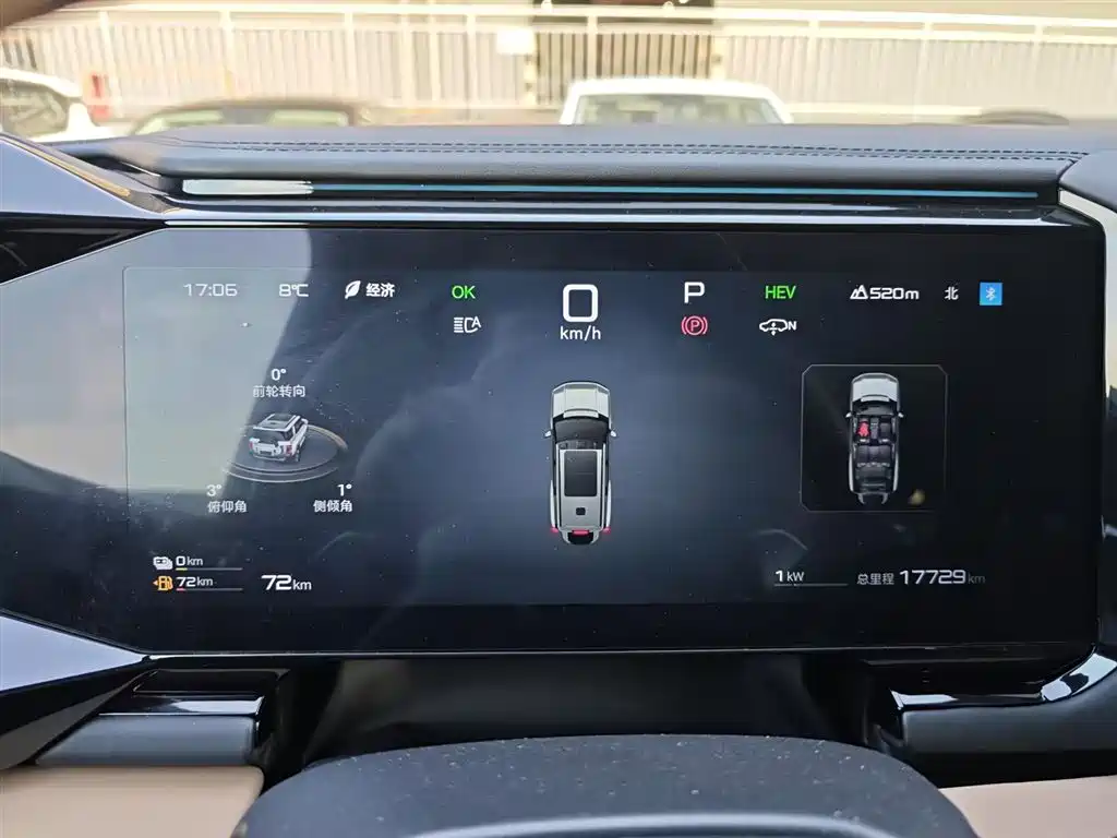 FANG CHENG BAO LEOPARD 8