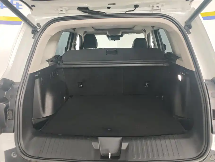Haval Big Dog 2021 1.5T DCT 2WD Border Collie Edition фото 4