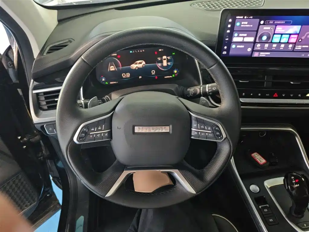 Haval H6 2023 National Trend Edition 1.5T Automatic Champion фото 11