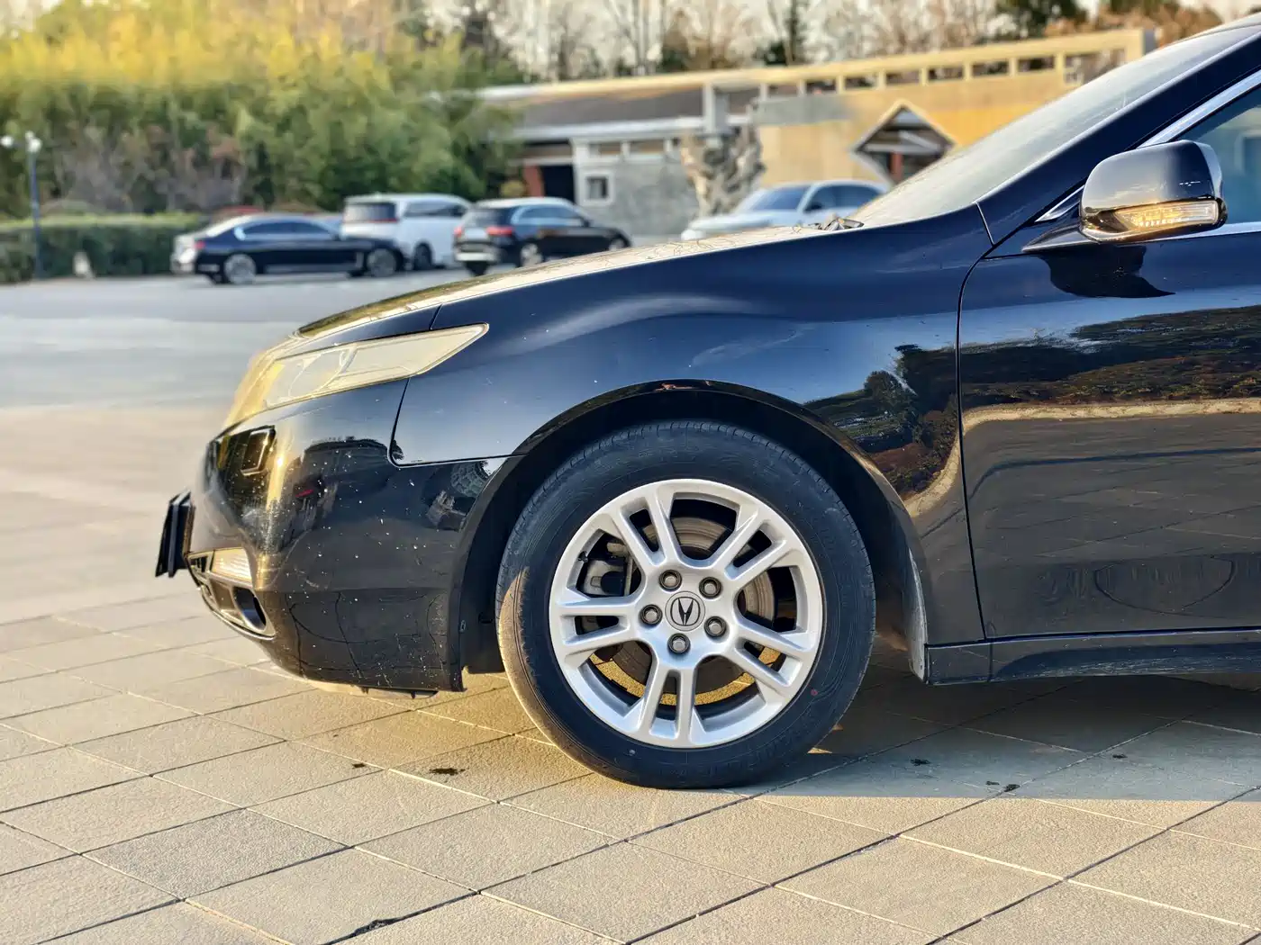 Acura TL 2010 3.5 Premium Edition фото 8
