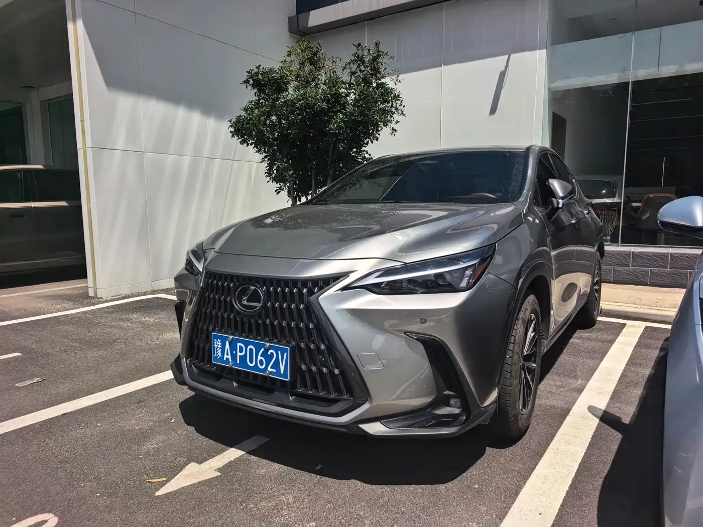 Lexus NX 2023 2022 260 FWD Joy Creation Edition