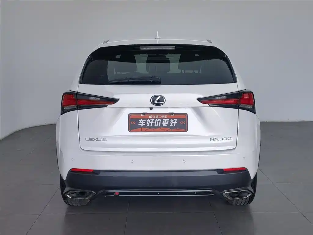 Lexus NX 2018 Model 300 FWD Fengxing Edition фото 4