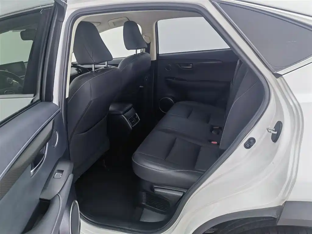 Lexus NX 2018 Model 300 FWD Fengxing Edition фото 15