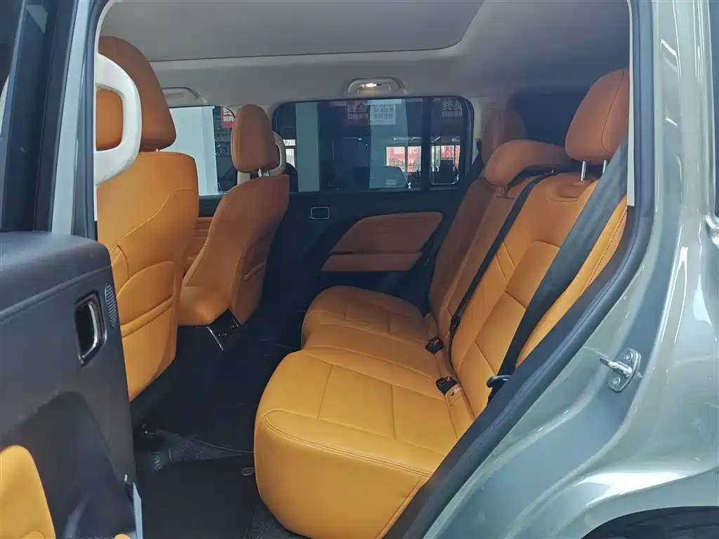 HAVAL RAPTORS NEW ENERGY