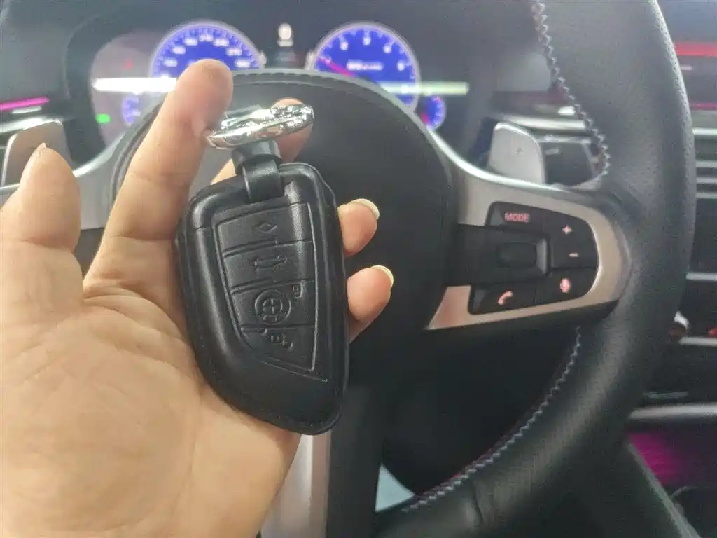 BMW 5 Series 2019 530Li Leading M Sport Package фото 9