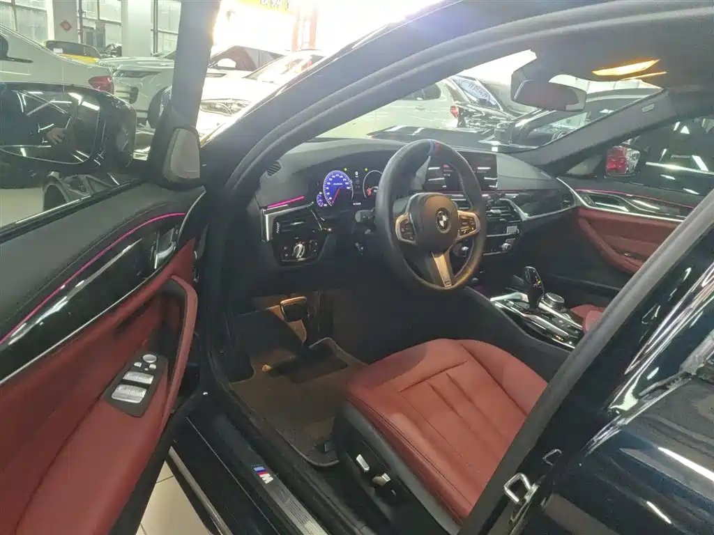 BMW 5 Series 2019 530Li Leading M Sport Package фото 16