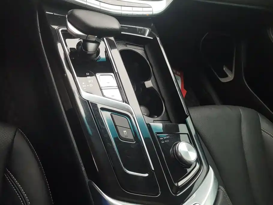 Geely Borui 2021 2021 1.8T Pilot Edition