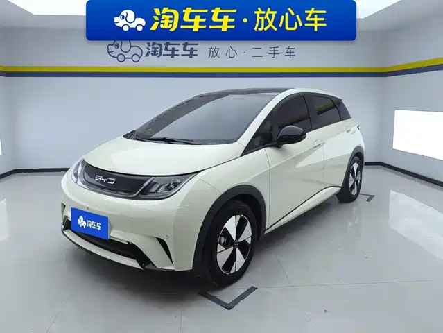 BYD Dolphin 420km, Стиль