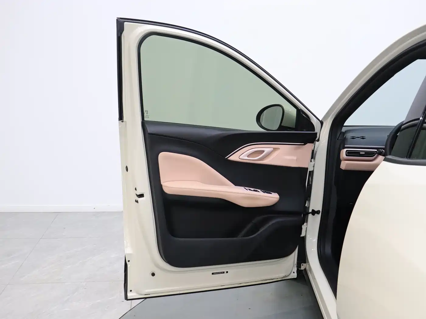 BYD Seagull 2023 Freedom Edition фото 14