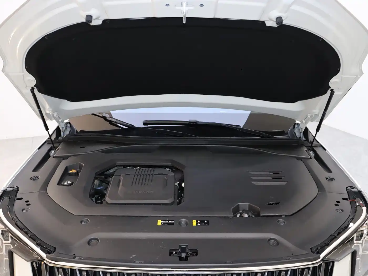 GAC Trumpchi Trumpchi GS8 2024 Dual Engine Series 2.0TM 2WD Premium Edition фото 10