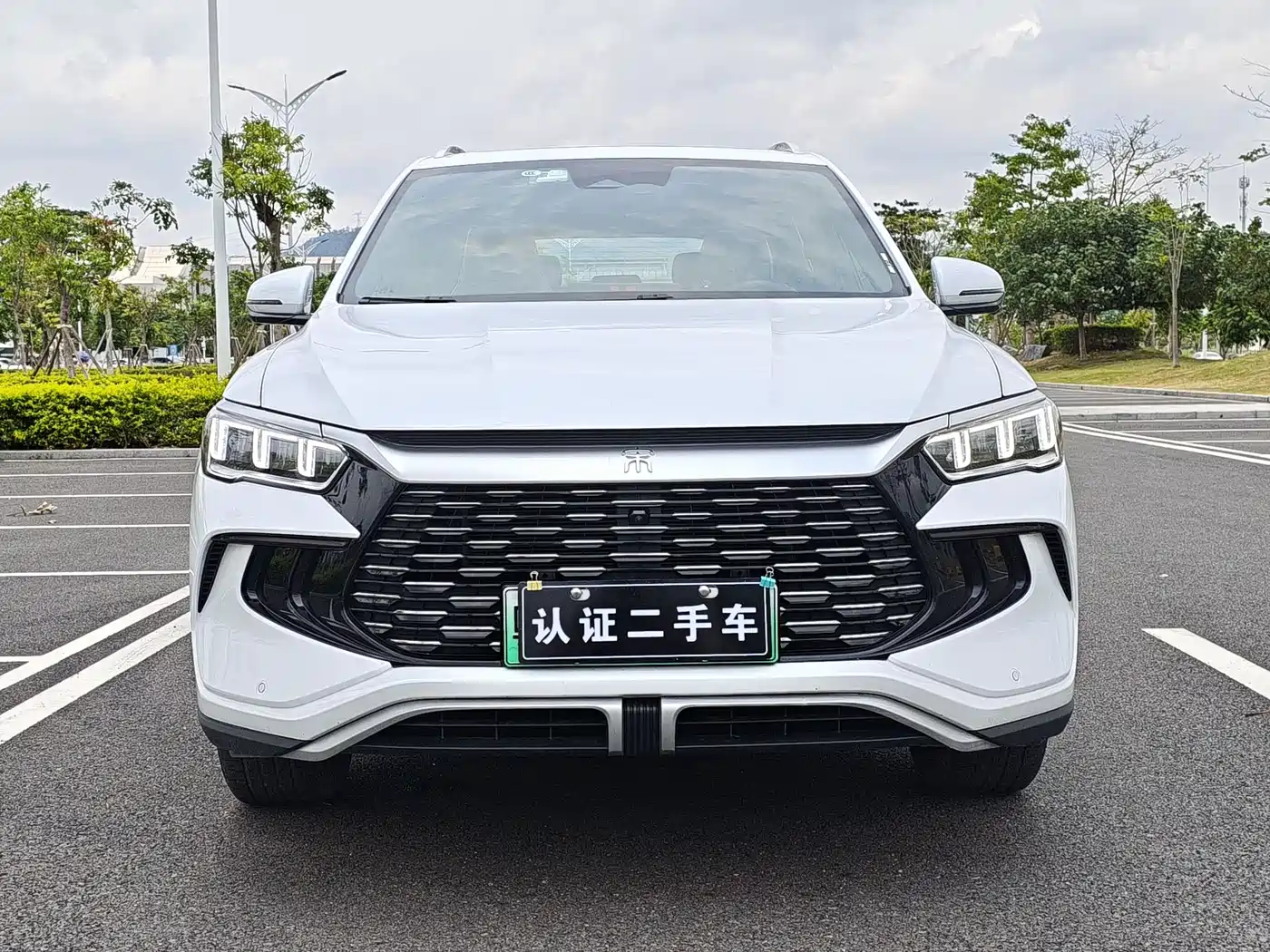 BYD Song Pro New Energy 2023 Champion Edition DM-i 110KM Surpassing Type фото 2