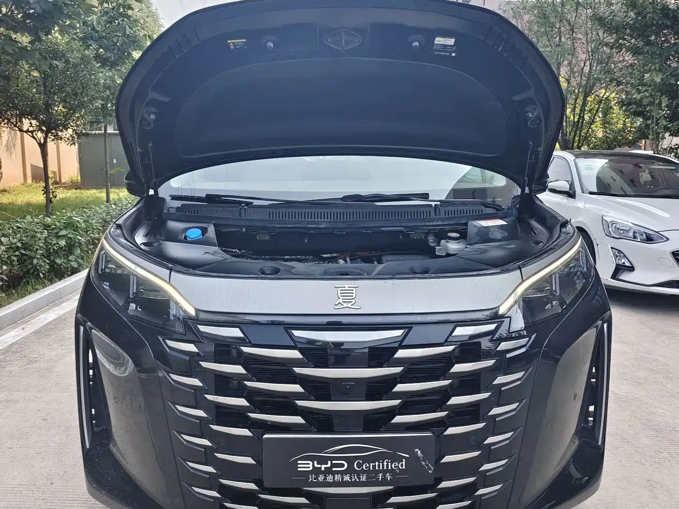 BYD Xia 2025 2025 DM-i 1.5T 180km Excellence