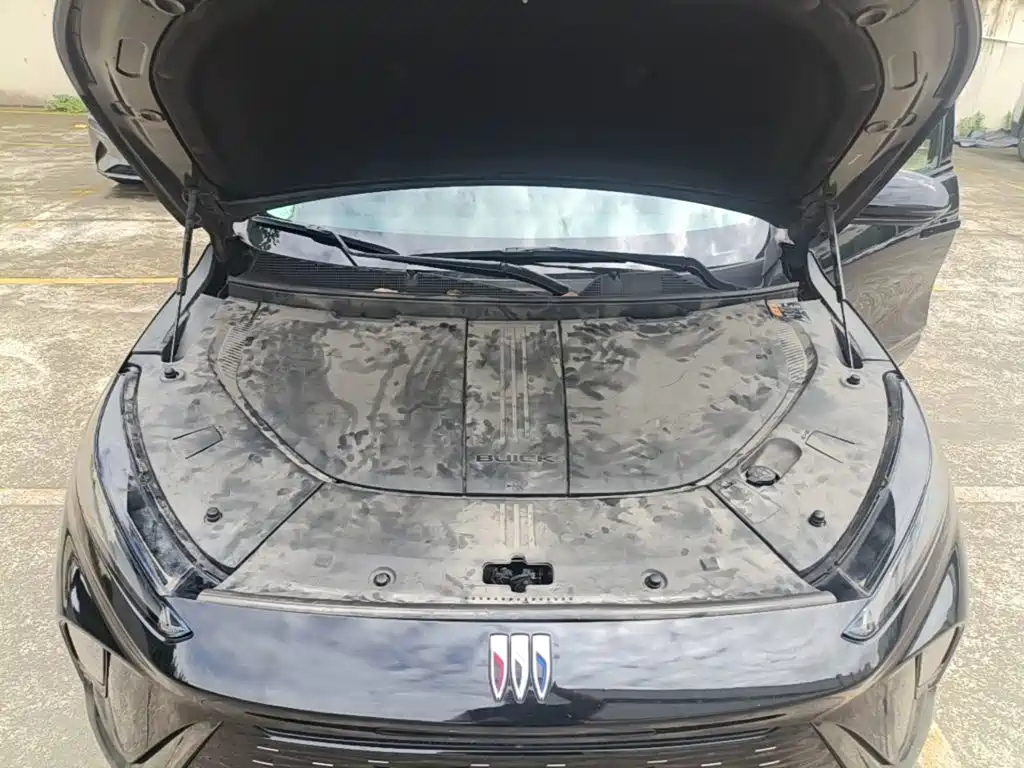 Фото 20 - Buick E5
