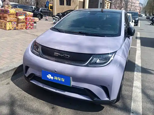 BYD DOLPHIN