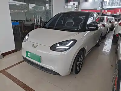 Wuling Bingo