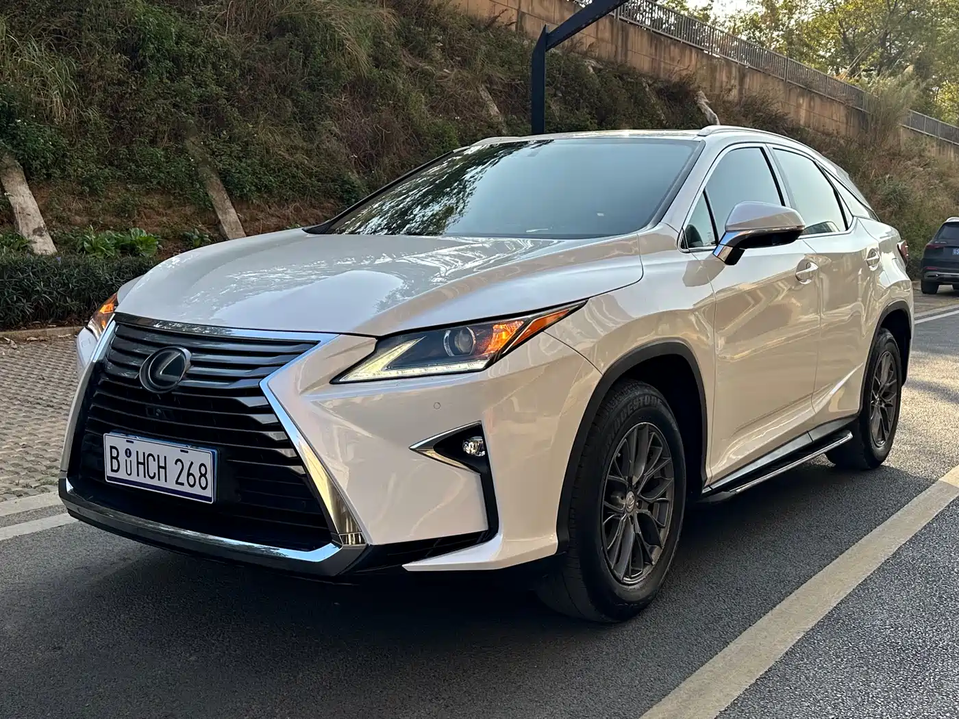 Lexus RX 2016 300 2WD Elite Edition (China V)