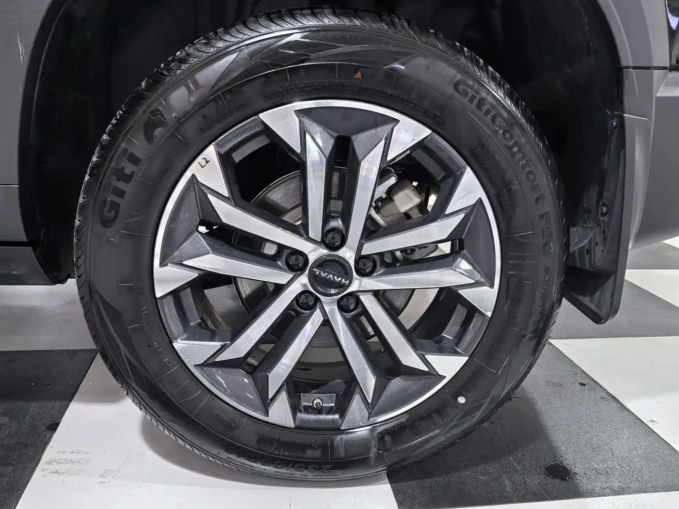 Haval Big Dog 2024 1.5T DCT Border Collie Edition фото 15