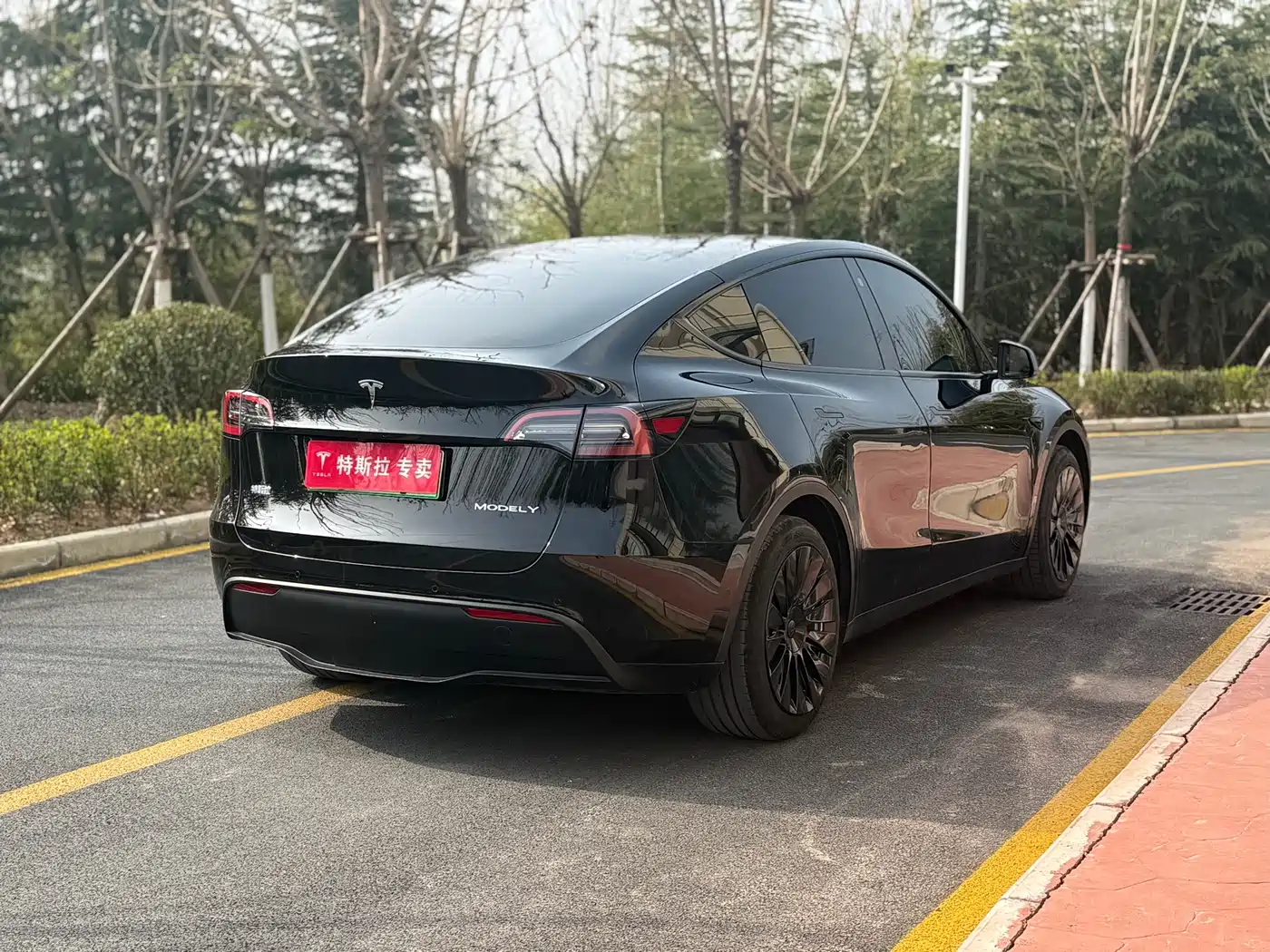 TESLA MODEL Y