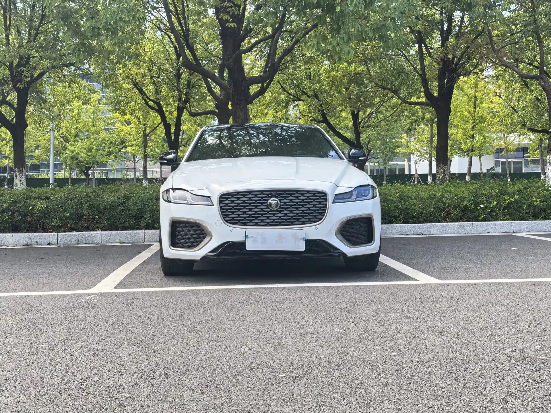 Фото 3 - Jaguar XFL