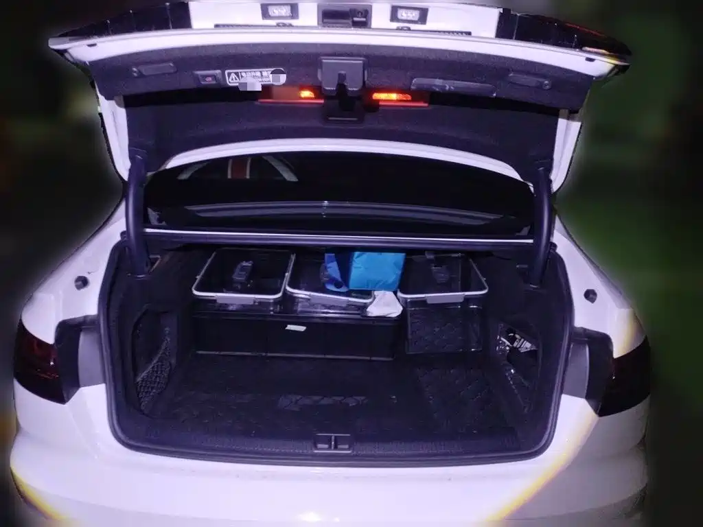Audi A4L 2020 45 TFSI quattro Premium Dynamic фото 15