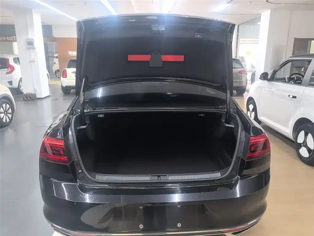Volkswagen Magotan 2020 330TSI DSG Luxury фото 19