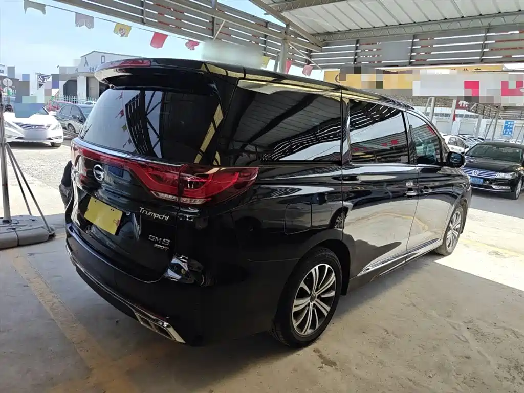 GAC Trumpchi Trumpchi M8 2020 Pilot 390T Prestige Edition фото 6