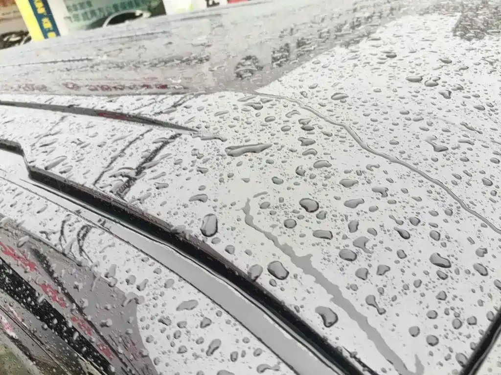 صورة 6 - Volkswagen Multivan