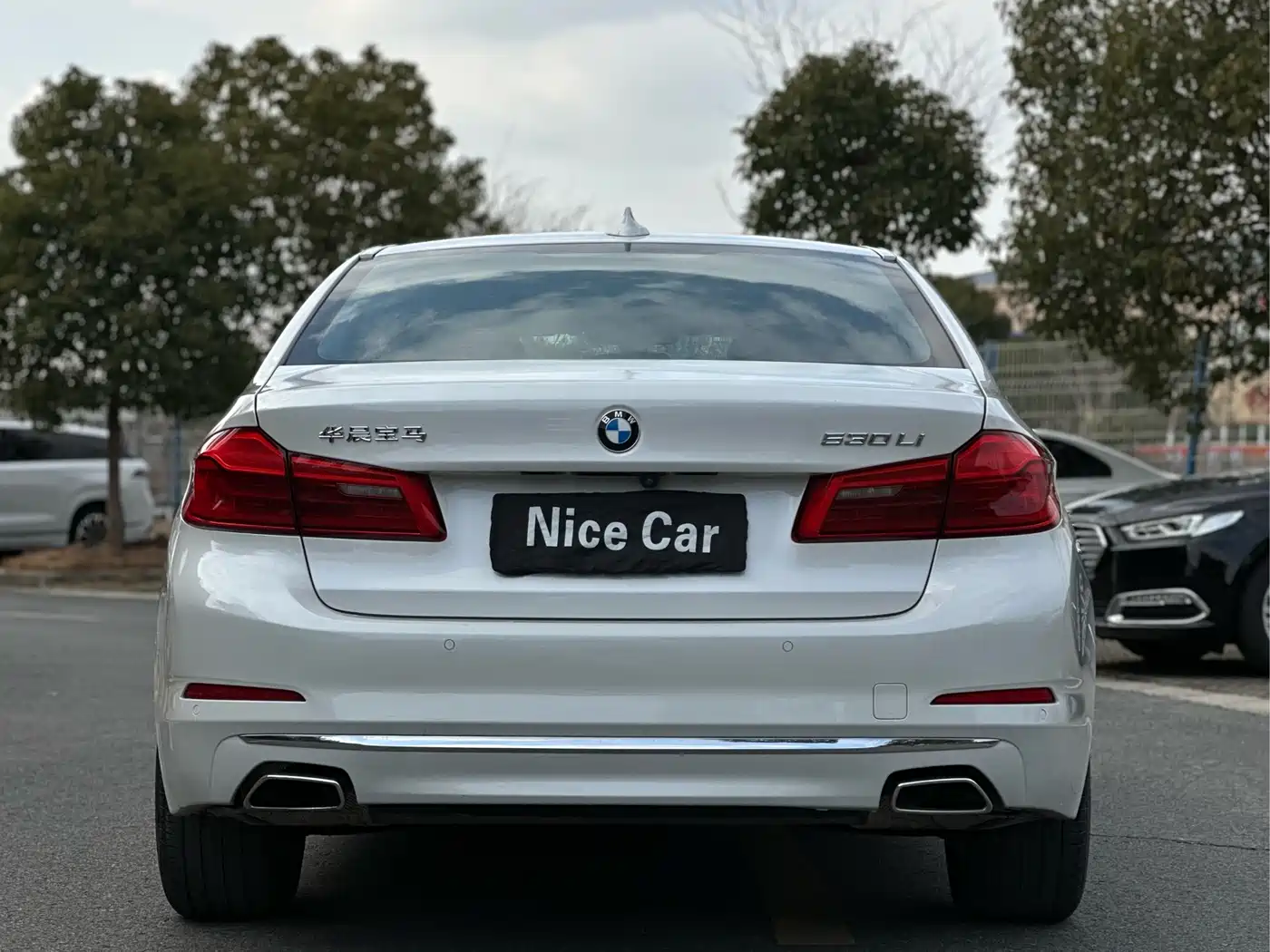 BMW 5 Series 2020 530Li Leading Luxury Package фото 23