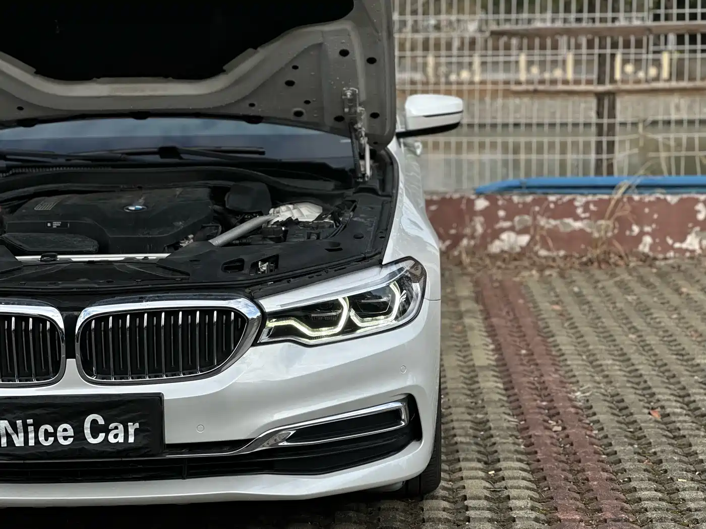 BMW 5 Series 2020 530Li Leading Luxury Package фото 31