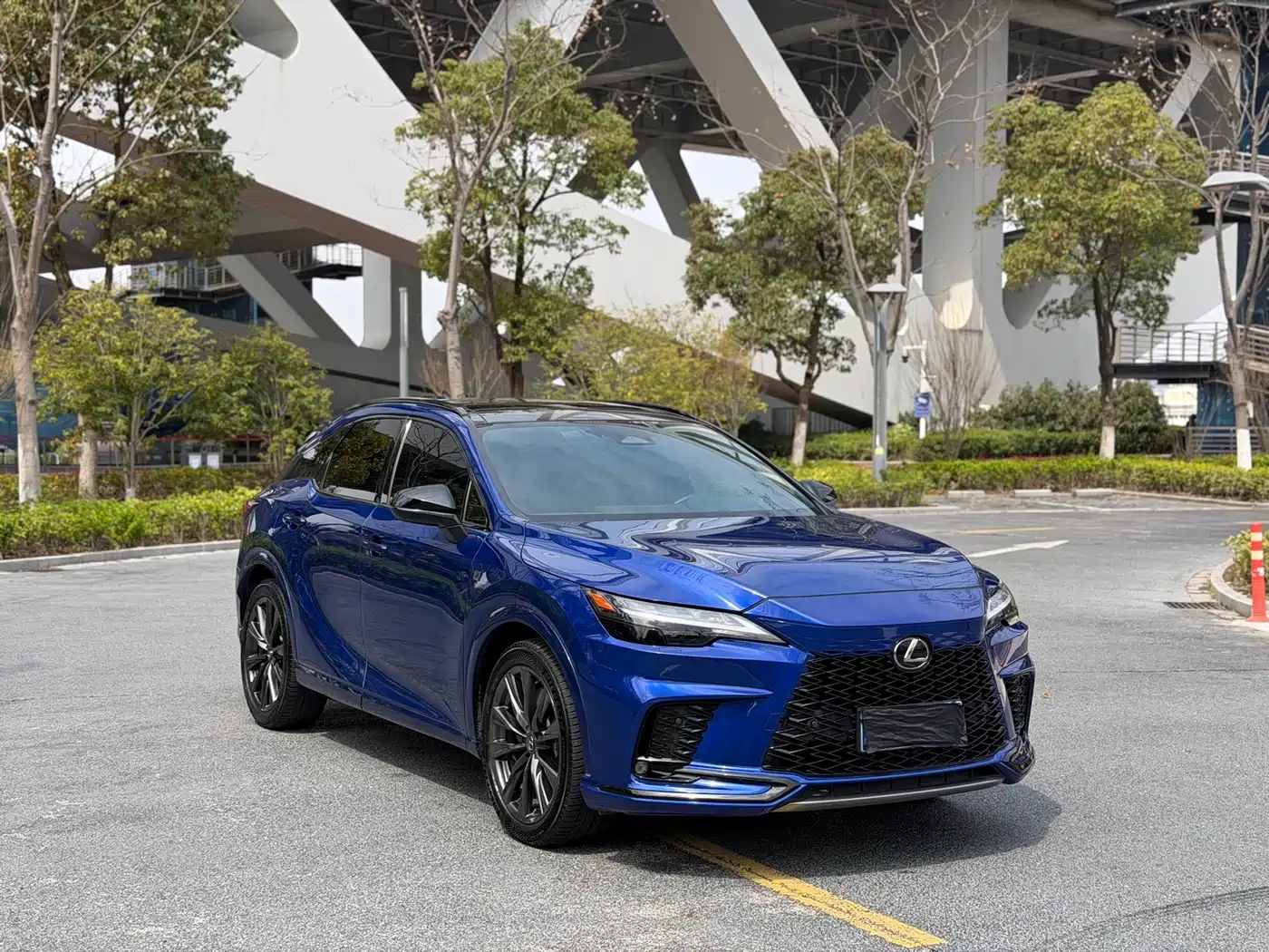 LEXUS RX