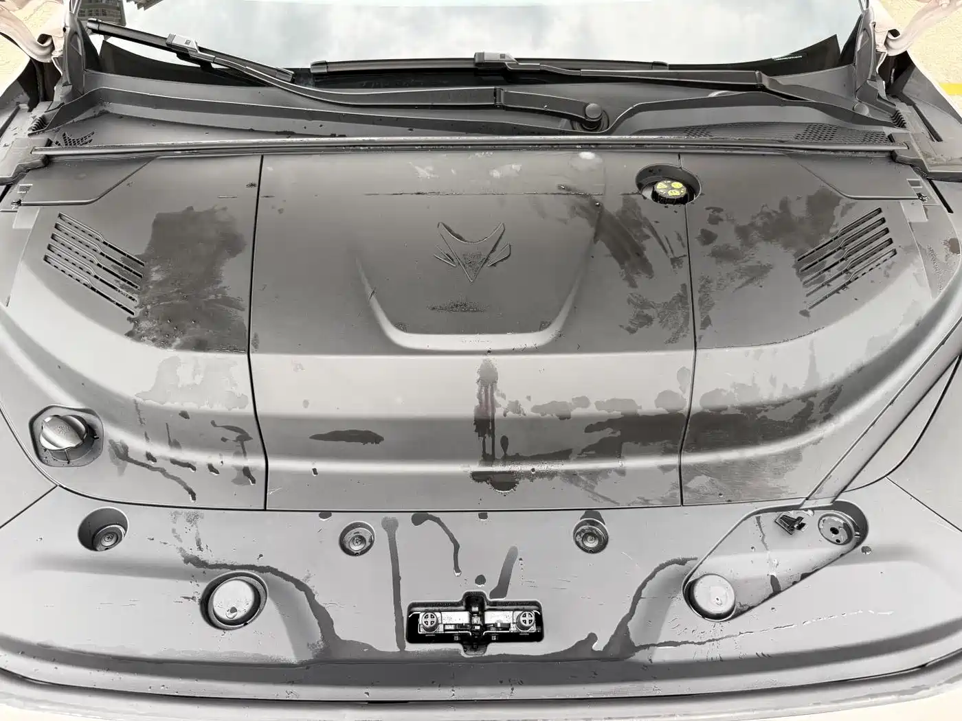 ARCFOX EXTREME FOX POLAR FOX ALPHA S5