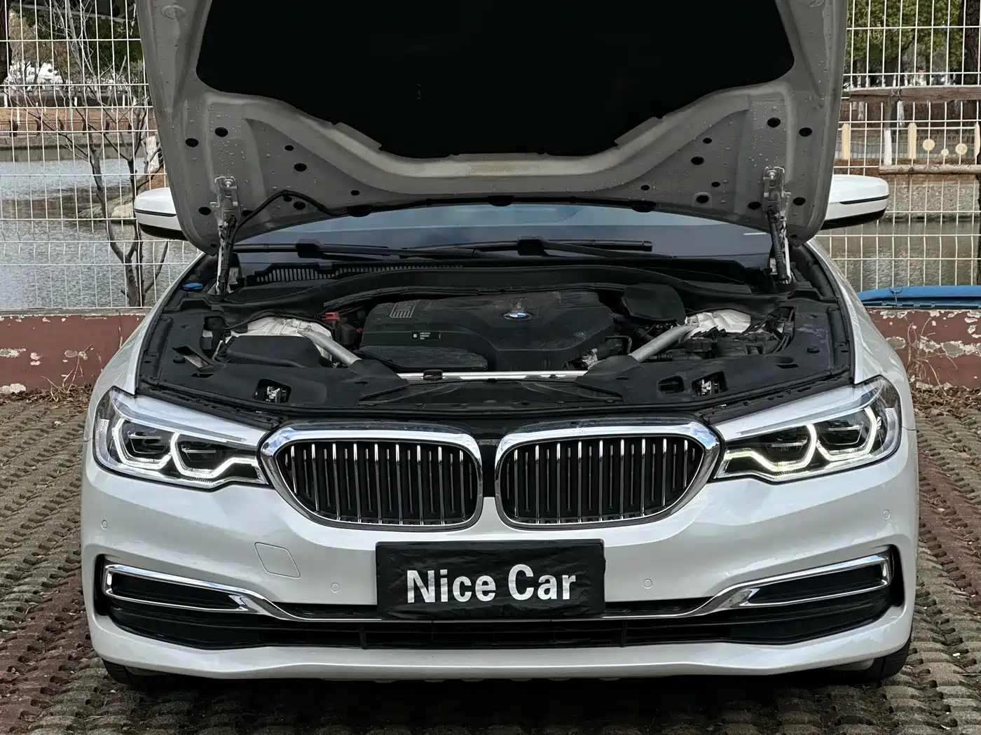 BMW 5 Series 2020 530Li Leading Luxury Package фото 29