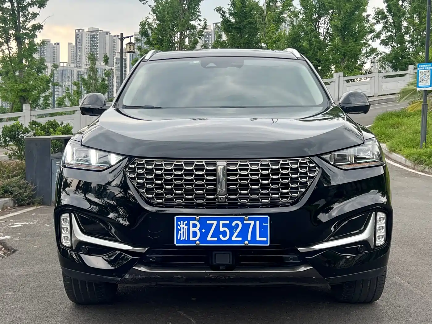 2021 WEY VV6